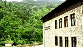 Отель Camlihemsin Tasmektep Hotel  Çamlıhemşin